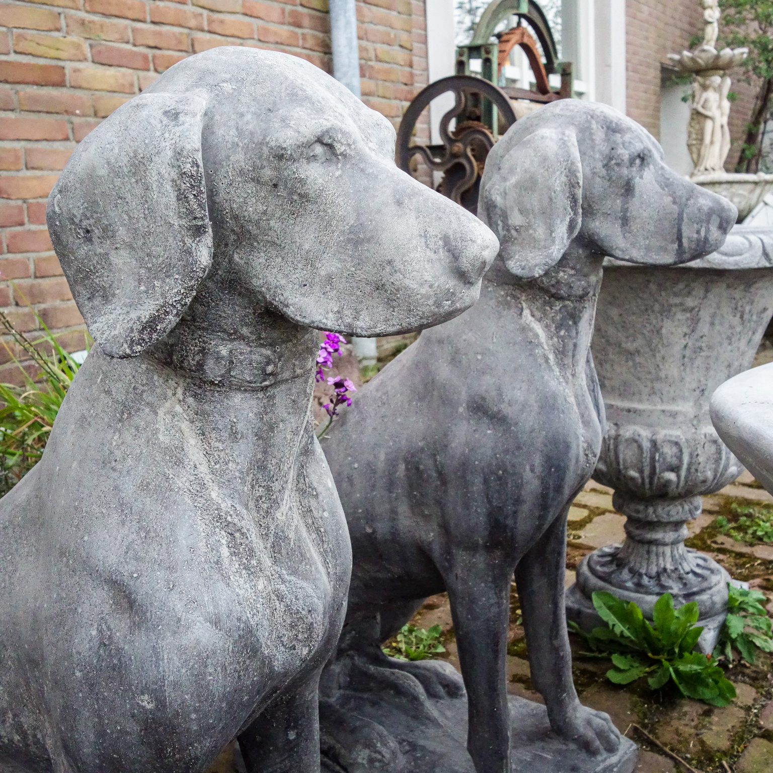 wrijving Voorman slaaf Decoratieve Betonnen Tuinbeelden – Honden - Assortiment - Vivre Interieur  Authentique